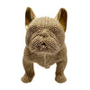 Sparkle-Studded French Bulldog