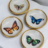 Handmade Pottery Butterfly Dish