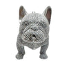 Sparkle-Studded French Bulldog