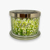 Amazing Fragrant Candles